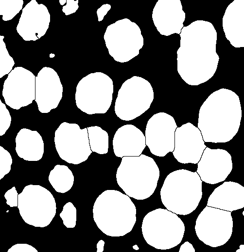 nucleidapiconfocalwatershed