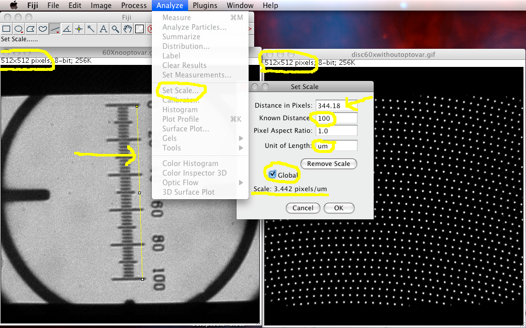 spatialcalibrationss1